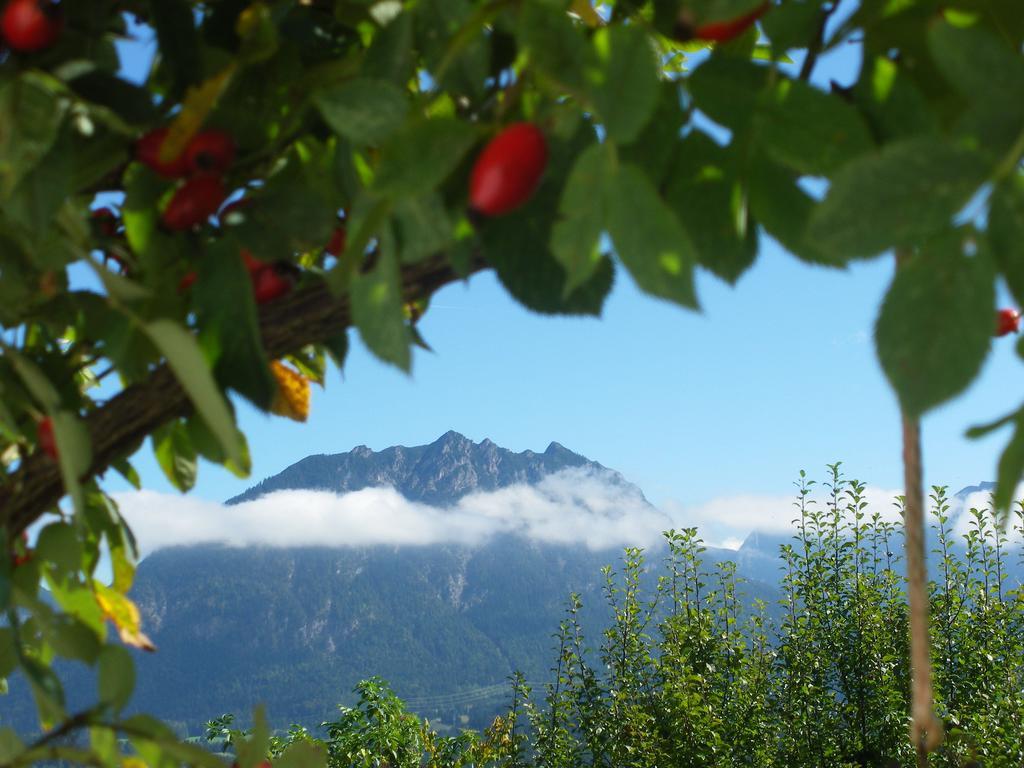 Haus Gebhard Lägenhet Reutte Exteriör bild